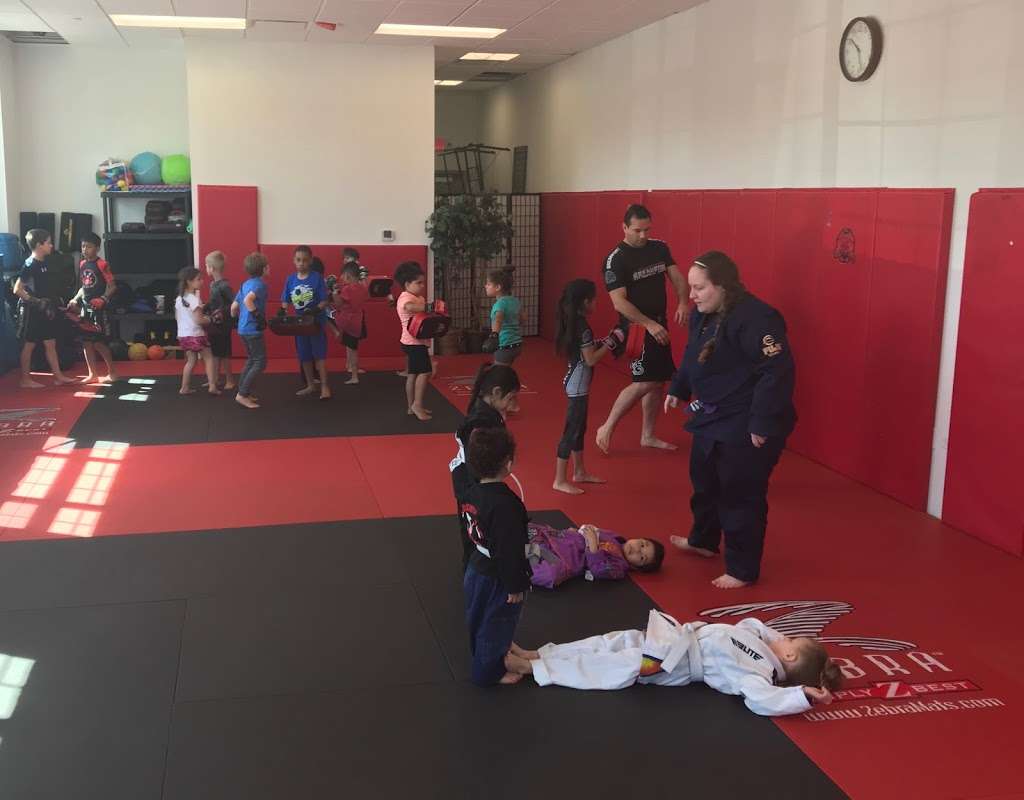 Randori Jiu Jitsu | 12509 W 159th St, Homer Glen, IL 60491, USA | Phone: (708) 374-1446