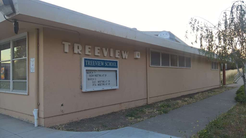 Treeview Elementary School | 30565 Treeview St, Hayward, CA 94544, USA | Phone: (510) 723-3925