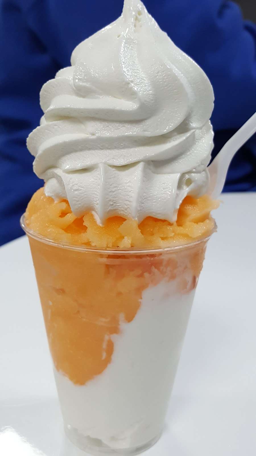 Mister Softee Ice Cream | 1890 Bayshore Rd, Villas, NJ 08251, USA | Phone: (609) 675-6323