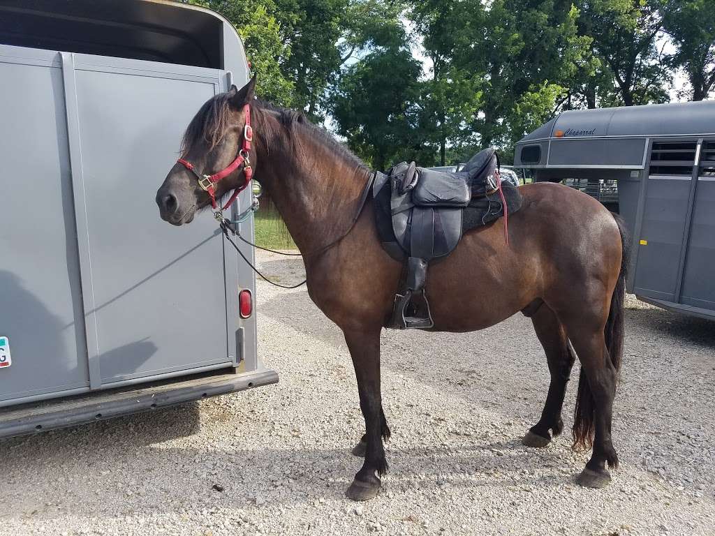 ROCKHAVEN PARK EQUESTRIAN CAMPGROUND (recgovnpsdata) | 872 N 1402 Rd, Lawrence, KS 66049, USA | Phone: (785) 843-7665