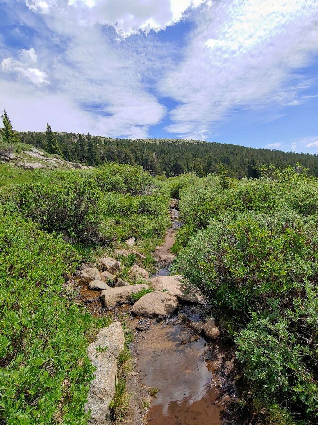 Tanglewood trails | 8704-8798 Deer Creek Rd, Bailey, CO 80421, USA Tanglewood trails | 8704-8798 Deer Creek Rd, Bailey, CO 80421, USA