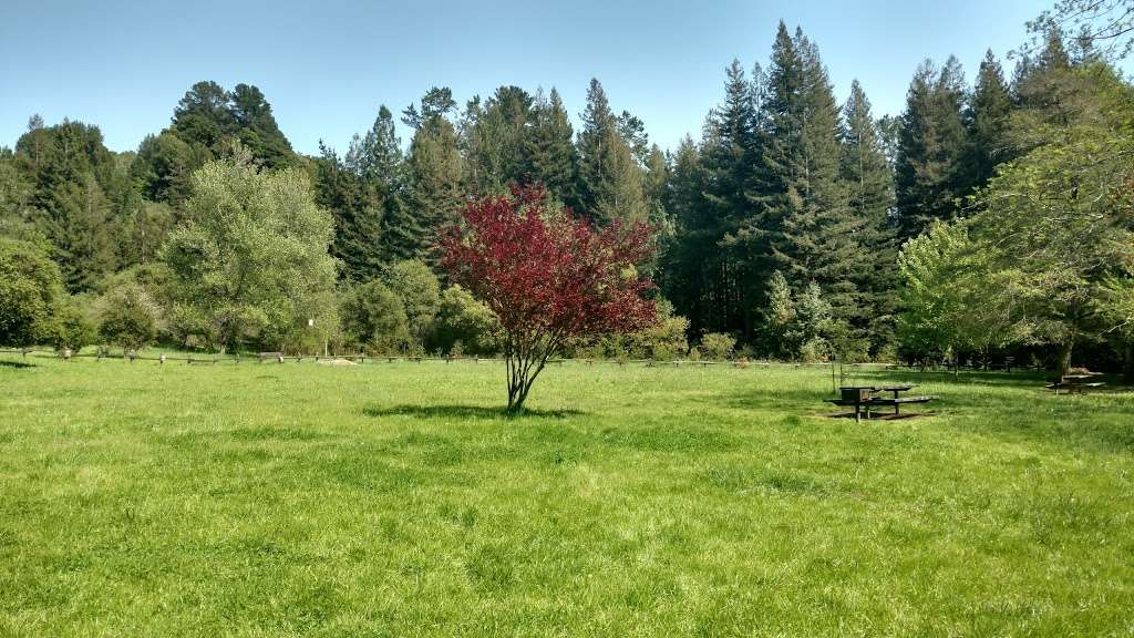 Redwood Regional Park | 7867 Redwood Rd, Oakland, CA 94619, USA | Phone: (888) 327-2757