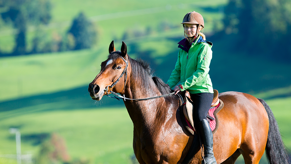 Brown County State Park Saddle Barn | 1801 State Rd 46, Nashville, IN 47448, USA | Phone: (812) 988-8166