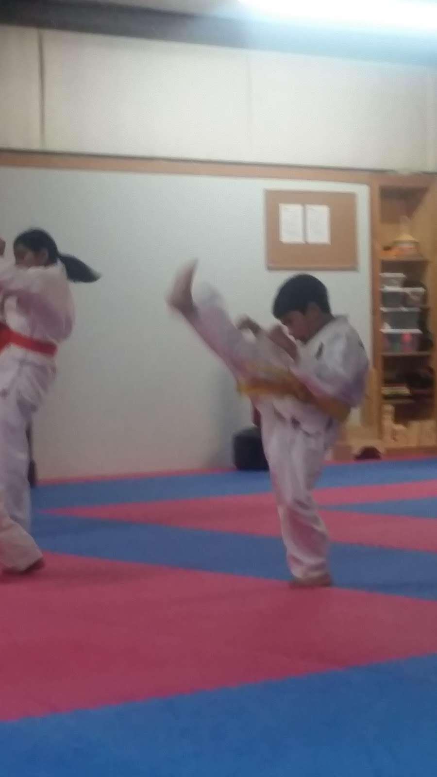 Lonestar Karate Academy | 411 S Houston Ave, Humble, TX 77338, USA | Phone: (832) 429-5085