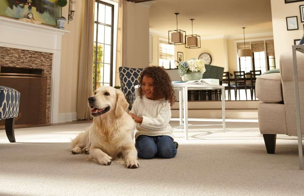 Dolphin Carpet and Tile | 3550 NW 77th Ct, Miami, FL 33122, USA | Phone: (305) 591-4141