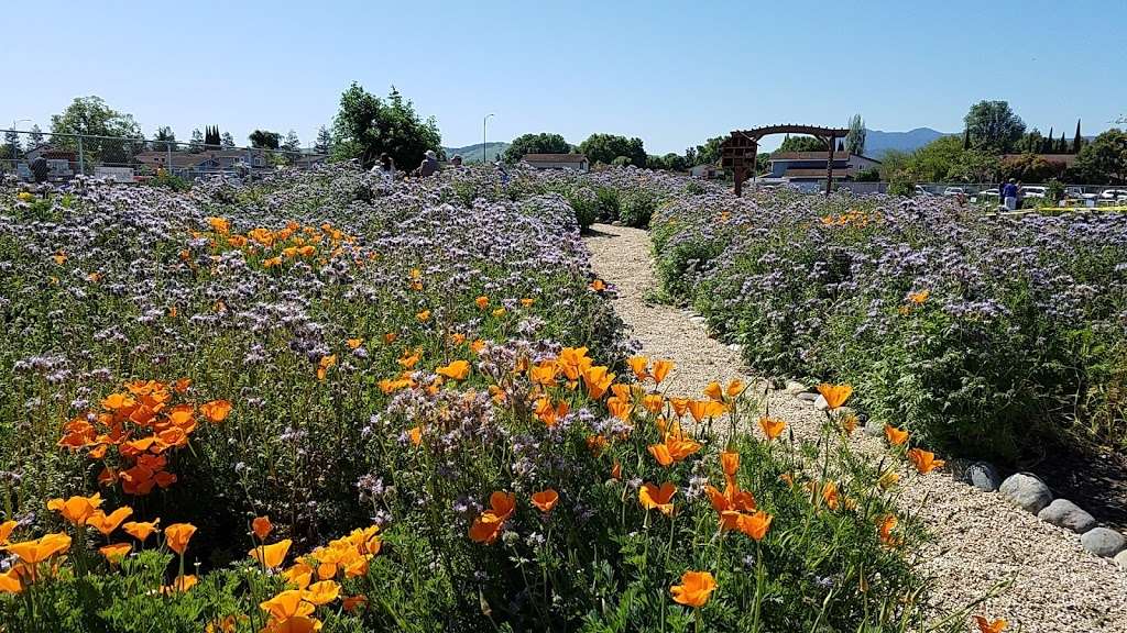 UCCE Master Gardener Martial Cottle Park Community Education Cen | San Jose, CA 95136, USA