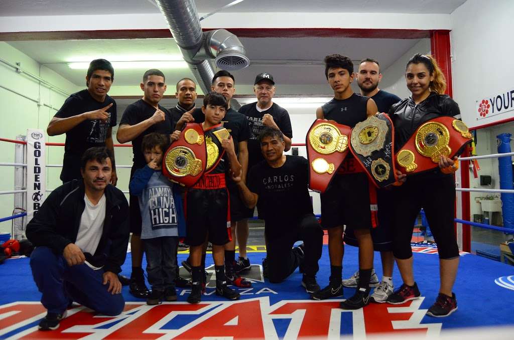 C M Boxing Stables | 3078 Valley Blvd, Alhambra, CA 91803 | Phone: (626) 872-2311