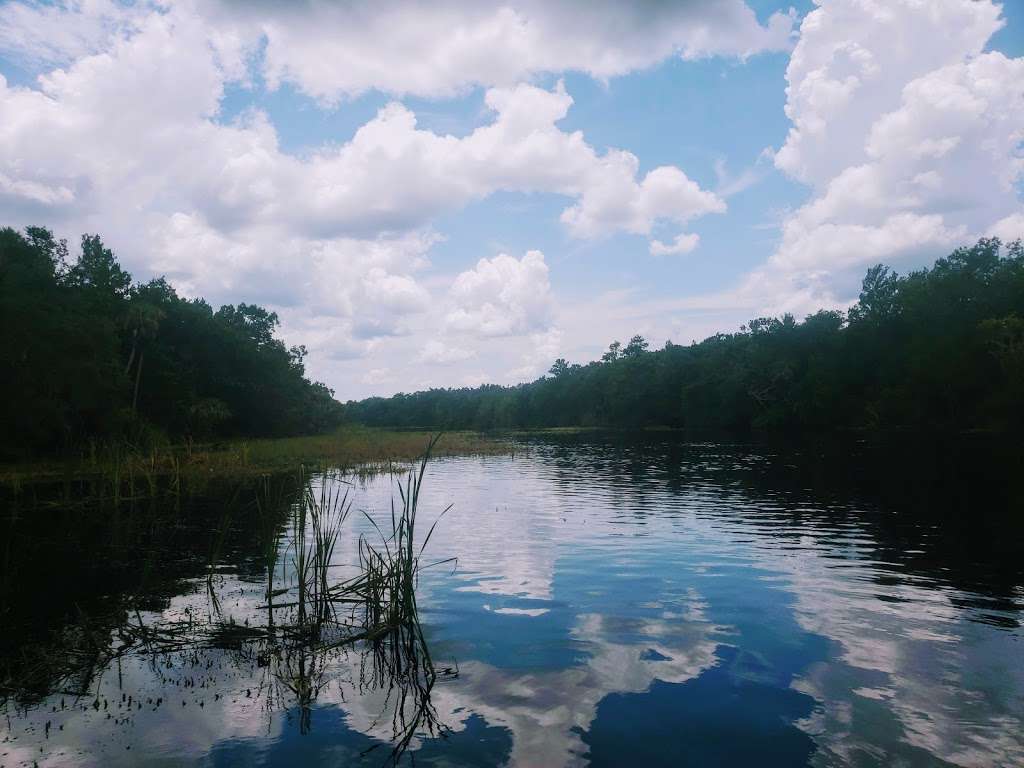 Alexander Springs Recreation Area | Florida, USA