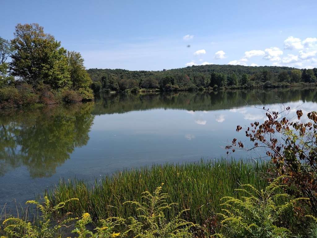 Archbald Pothole State Park | 960 Scranton Carbondale Hwy, Archbald, PA 18403, USA | Phone: (570) 945-3239