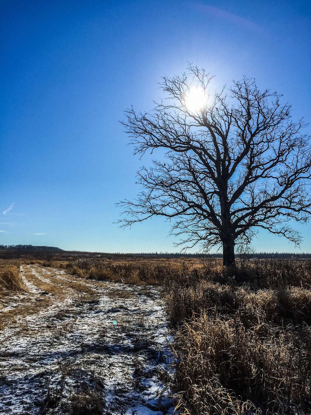 Jefferson Tamarack Swamp State Natural Area | 101 S Webster St, Madison, WI 53703, USA | Phone: (608) 266-0394