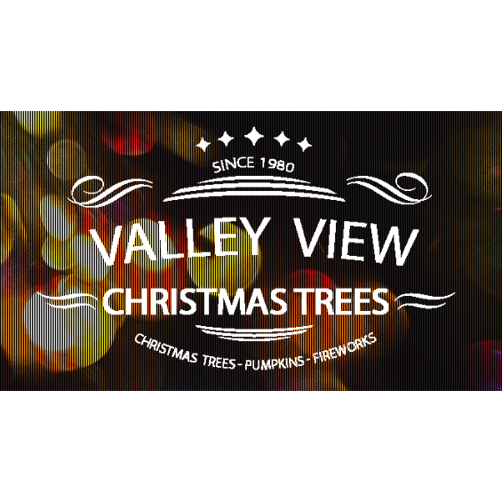 Valley View Christmas Trees | 2240 W Chandler Blvd, Chandler, AZ 85244, USA | Phone: (480) 318-7960