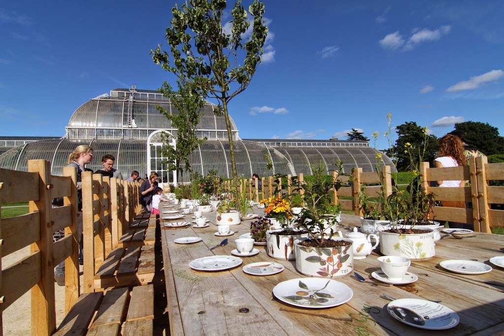 Royal Botanic Gardens, Kew | Richmond TW9 3AB, UK | Phone: 020 8332 5655