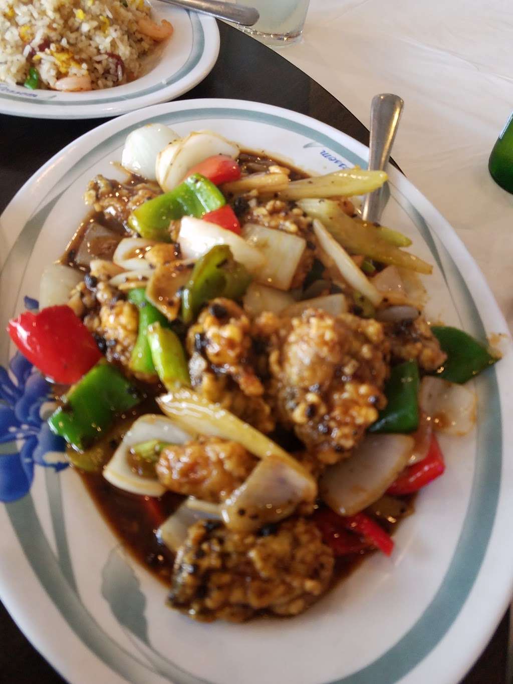 A Ly Oriental Restaurant | 11360 Bellaire Blvd, Houston, TX 77072 | Phone: (281) 575-7888