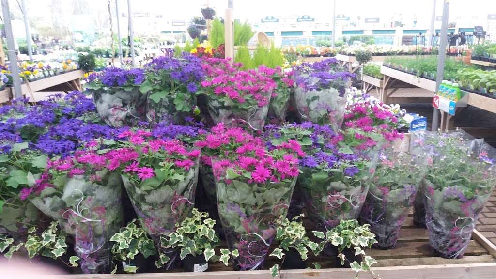 Ongar, a Wyevale Garden Centre | Langford Court, Ongar Rd, Kelvedon Hatch, Brentwood CM15 0LB, UK | Phone: 0844 288 5704