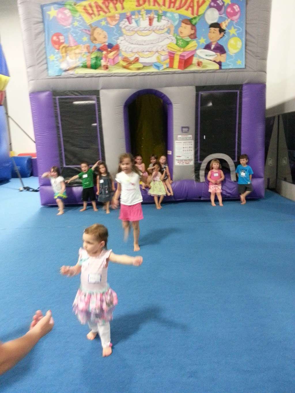 Libertyville Gymnastics Academy | 2610 Commerce Dr, Libertyville, IL 60048 | Phone: (847) 816-6618