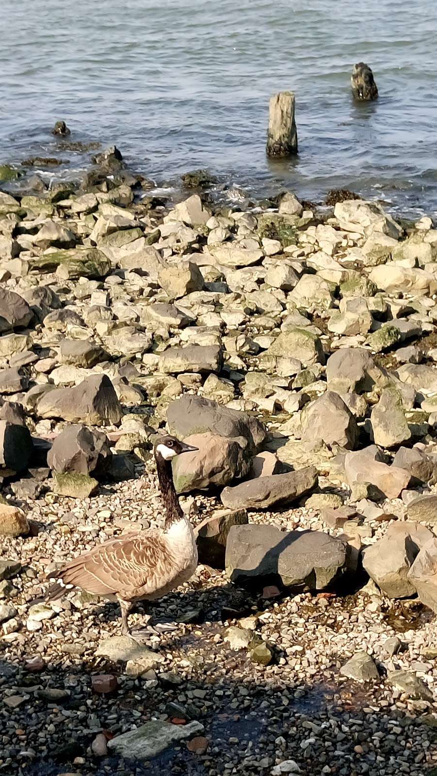 North Shore Waterfront Esplanade Park | Bank St, Staten Island, NY 10301, USA