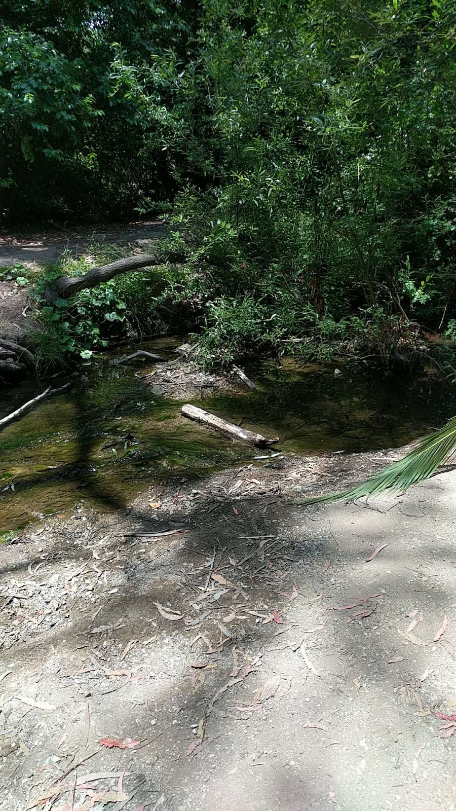 Frog Creek | Palos Verdes Estates, CA 90274, USA