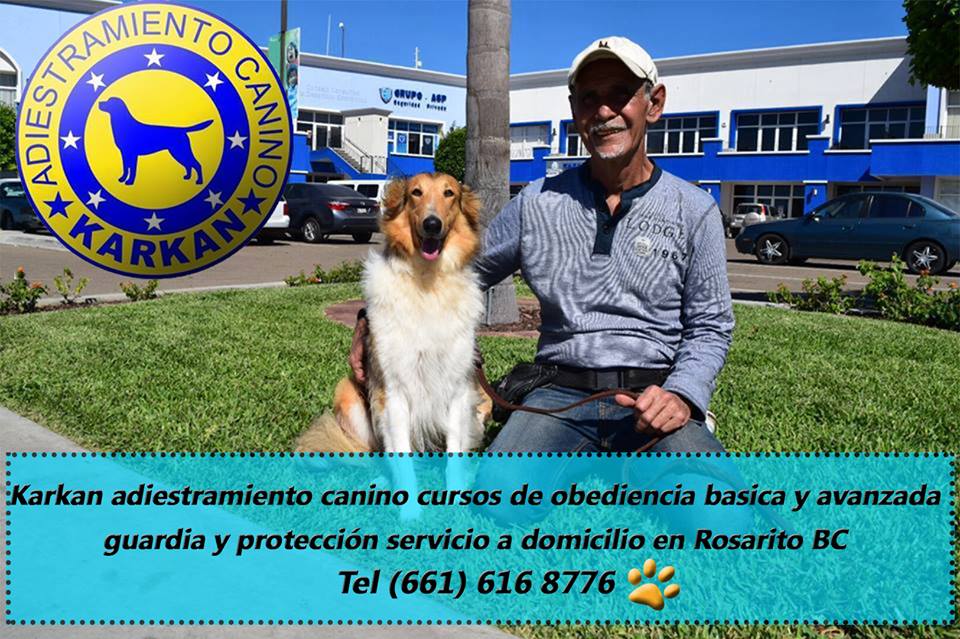 Karkan Entrenamiento Canino | C. Gral. Federico Montes 916, Reforma, 22710 Rosarito, B.C., Mexico | Phone: 661 120 1021