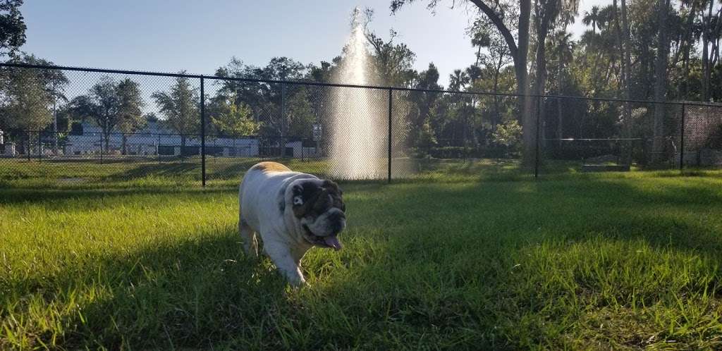 Community Public Dog Park at Halifax Humane Society, Inc. | 2364 Lpga Blvd, Daytona Beach, FL 32124, USA | Phone: (386) 274-4703