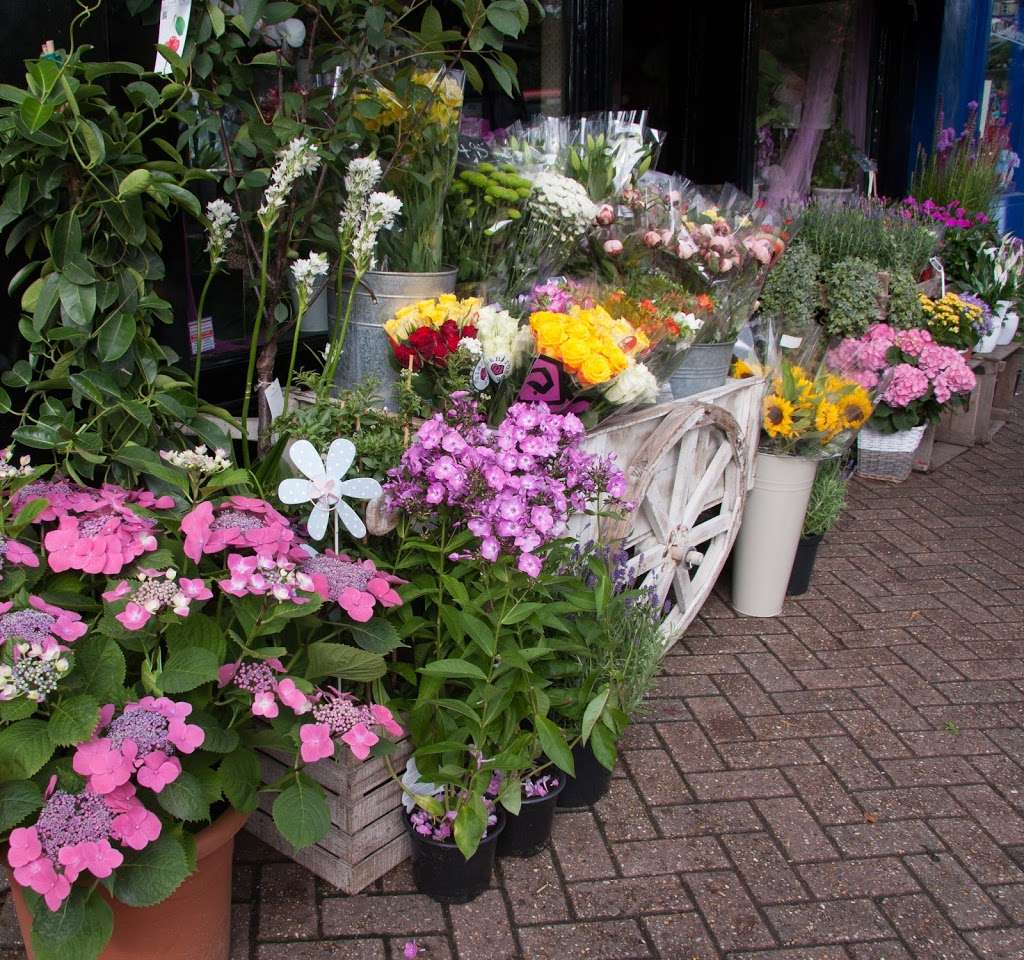 Roses Florist Of Chislehurst | 4 Royal Parade, Chislehurst BR7 6NR, UK | Phone: 020 8467 3203