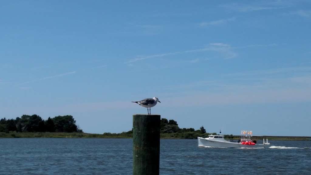 Crisfield Dock | Crisfield, MD 21817, USA