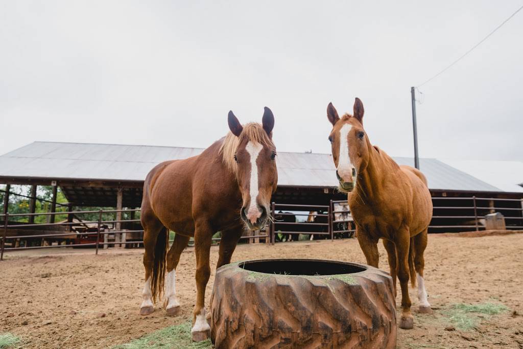 Academy Riding Stable | 4 El Paso Blvd, Colorado Springs, CO 80904, USA | Phone: (719) 633-5667