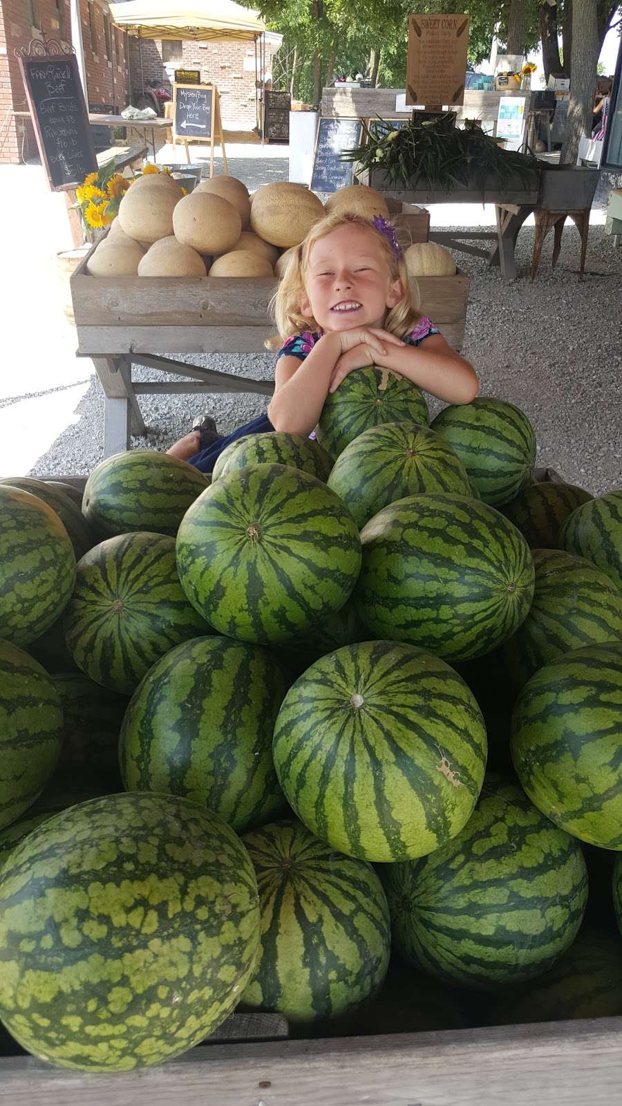 Meyer Family Farms Vegetable Stand | 22201 75th St, Salem, WI 53168, USA | Phone: (262) 620-1039