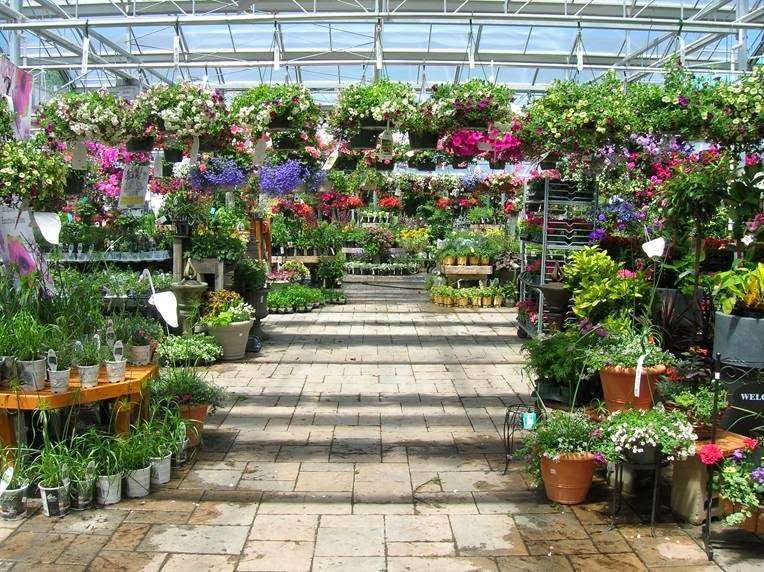 Seoanes Garden Center | 551 Bedford St, Abington, MA 02351, USA | Phone: (781) 878-1306