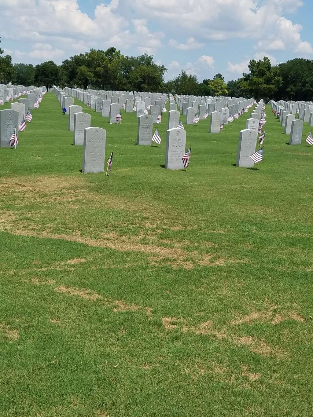 Houston National Cemetary | 10410 Veterans Memorial Dr, Houston, TX 77038, USA