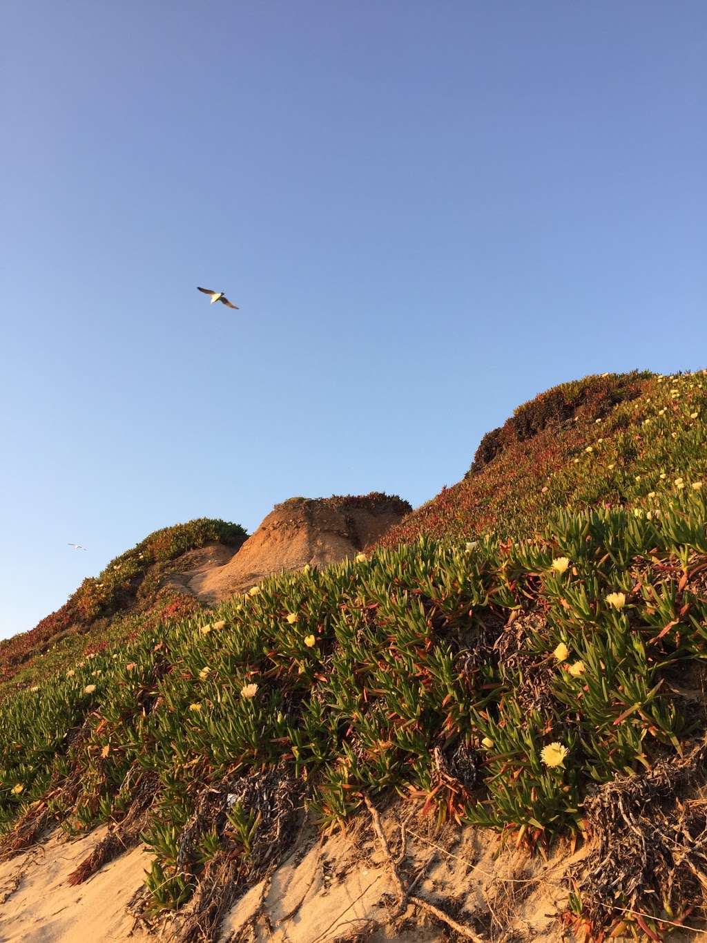 Half Moon Bay State Park | Half Moon Bay, CA 94019, USA