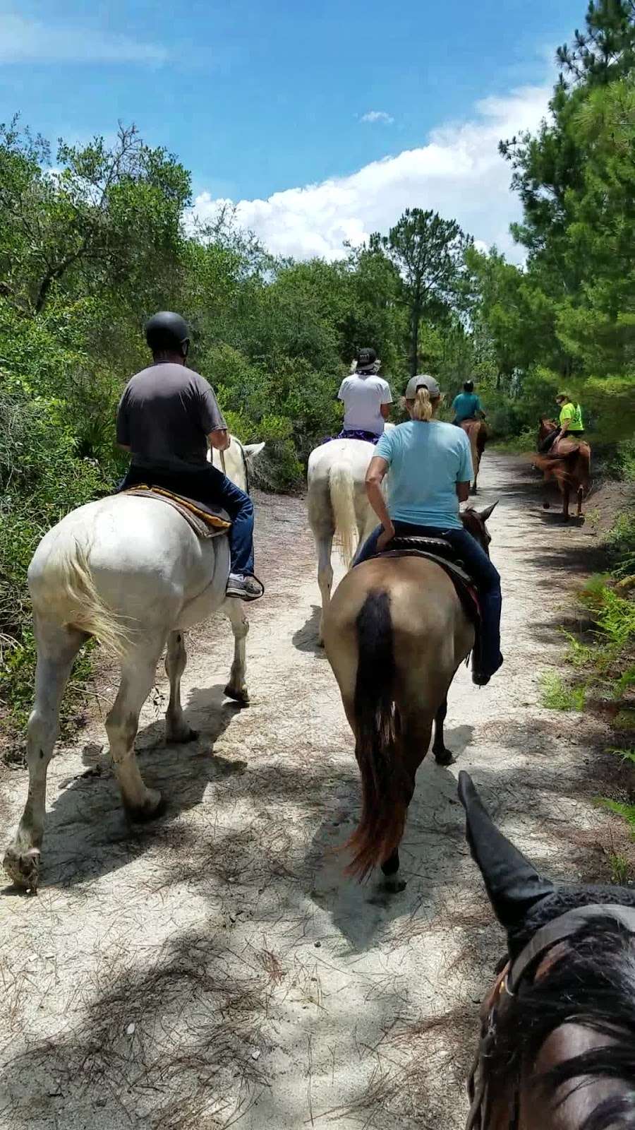 Lake Lizzie Conservation Area | 6800-6808 Midland Dr, St Cloud, FL 34771 | Phone: (407) 742-0200