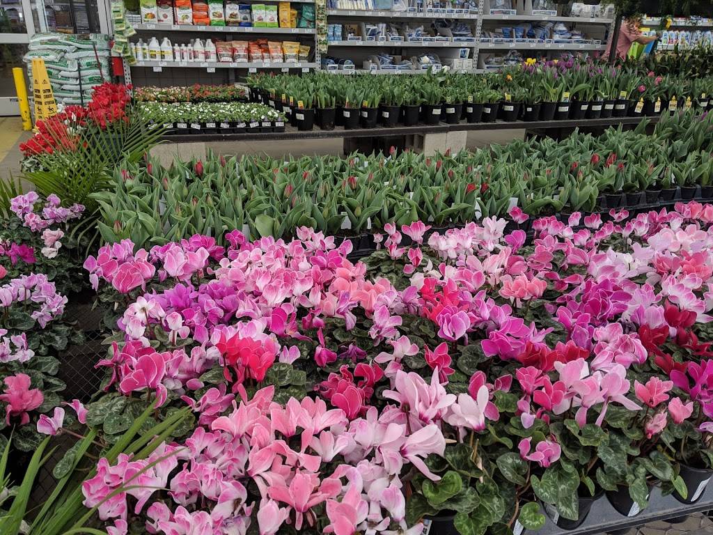 Lowes Garden Center | 7825 Rosedale Hwy, Bakersfield, CA 93308, USA | Phone: (661) 588-6420