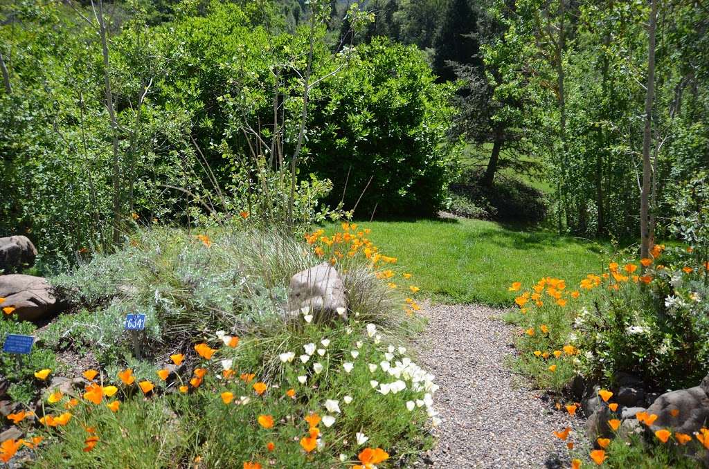Regional Parks Botanic Garden | Shasta Rd, Berkeley, CA 94708 | Phone: (510) 544-3169