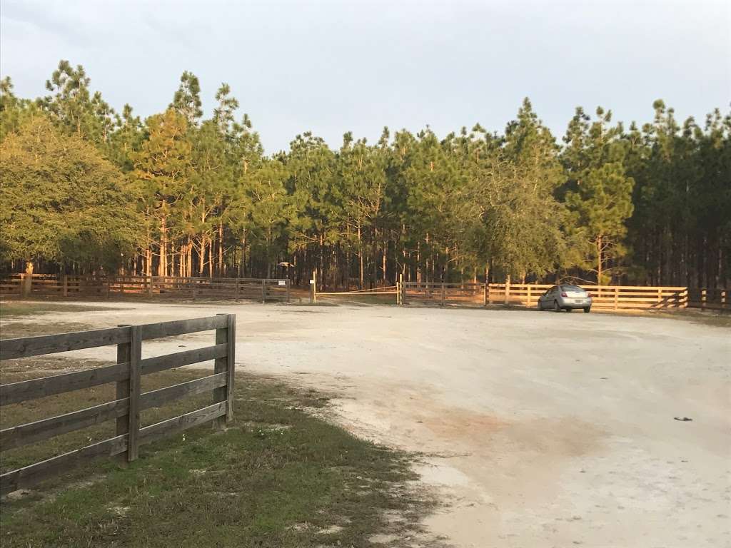 Chernobyl Memorial Forest Parking | 11209 County Rd 464C, Ocklawaha, FL 32179, USA
