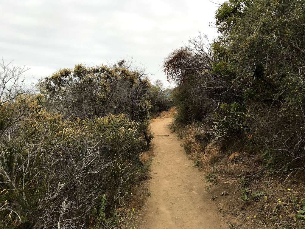 Los Liones Trail | Pacific Palisades, CA 90272, USA