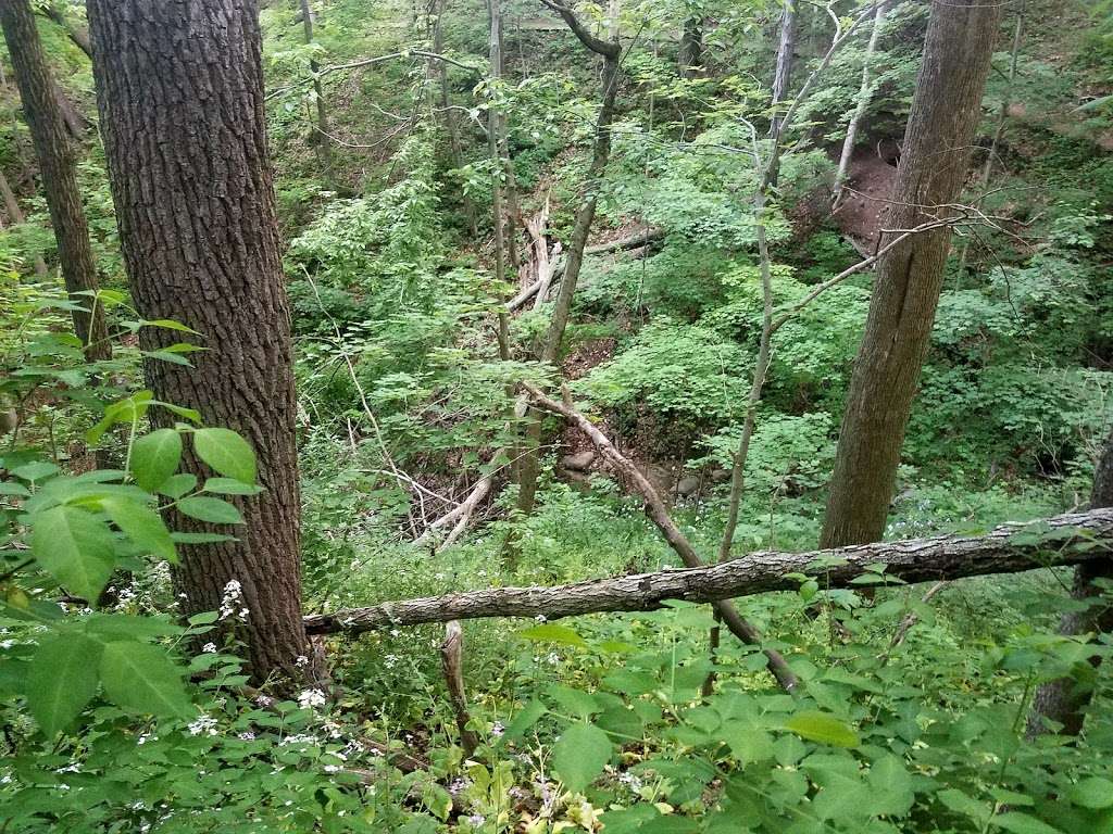 Jerry E. Clegg Botanic Gardens | N 400 E, Lafayette, IN 47905, USA | Phone: (765) 423-1325