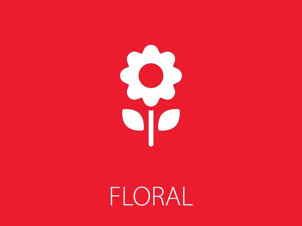 Schnucks Florissant Floral | 8200 N Lindbergh Blvd, Florissant, MO 63031 | Phone: (314) 921-2575