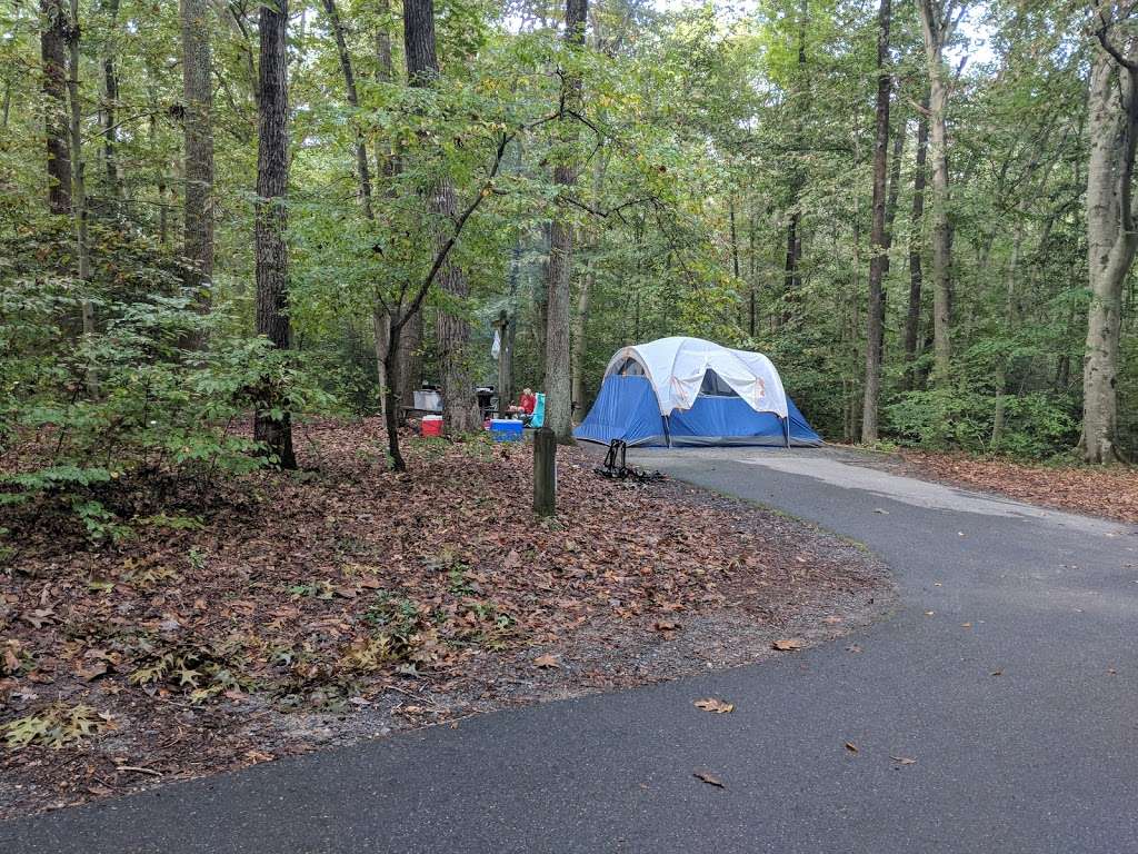 Tuckahoe State Park Campground | 13283 Cherry Ln, Queen Anne, MD 21657, USA | Phone: (410) 820-1668