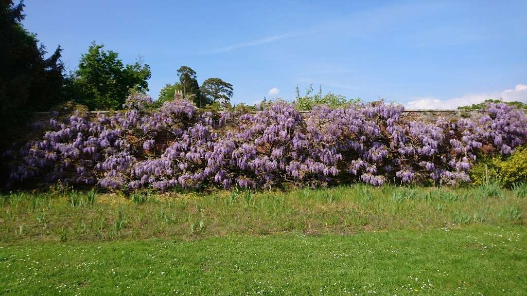 Within The Walls Garden Project | 9 B651, Whitwell, Hitchin SG4 8AF, UK | Phone: 07900 977653