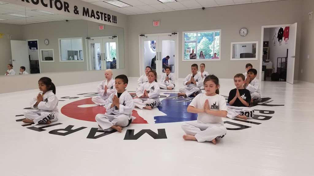 Pride Martial Arts Taekwondo | 5760 Berkshire Valley Rd, Oak Ridge, NJ 07438, USA | Phone: (973) 545-2787