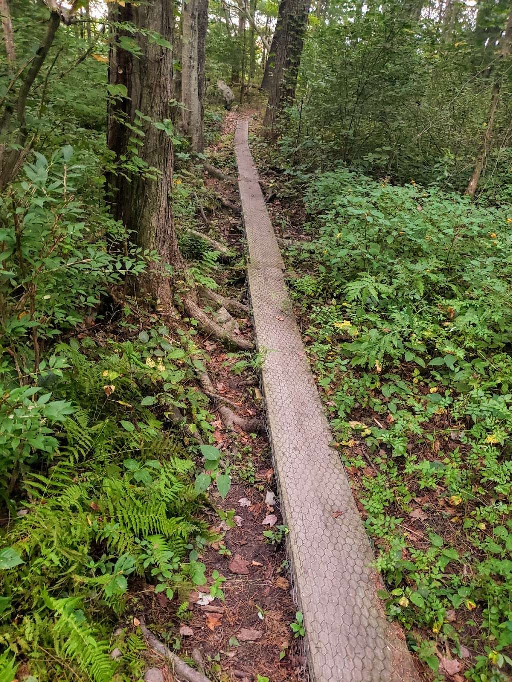 Little River Trail | Hale St, Newburyport, MA 01950, USA