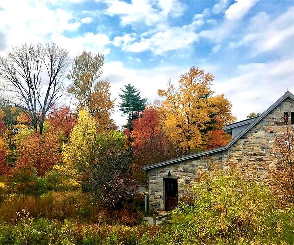 The Willow School | 1150 Pottersville Rd, Gladstone, NJ 07934, USA | Phone: (908) 470-9500