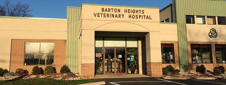 Barton Heights Veterinary Hospital | 117 Terrace Dr, Stroudsburg, PA 18360, USA | Phone: (570) 424-6773