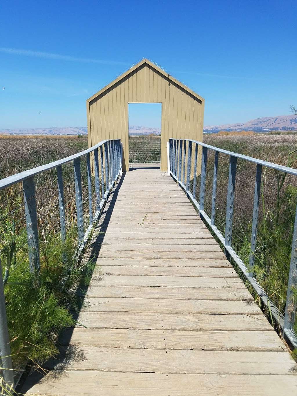 Alviso Marina County Park | 1195 Hope St, Alviso, CA 95002, USA | Phone: (408) 262-6980 Alviso Marina County Park | 1195 Hope St, Alviso, CA 95002, USA | Phone: (408) 262-6980