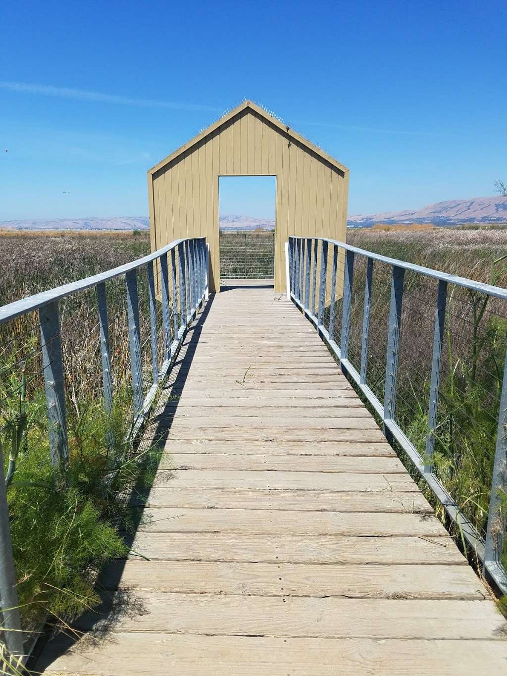 Alviso Marina County Park | 1195 Hope St, Alviso, CA 95002, USA | Phone: (408) 262-6980