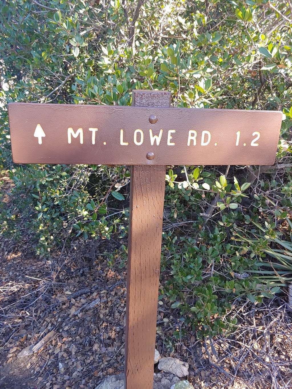 Mt Lowe Trail Camp | Muir Peak Rd, Mt Lowe Rd, Altadena, CA 91001