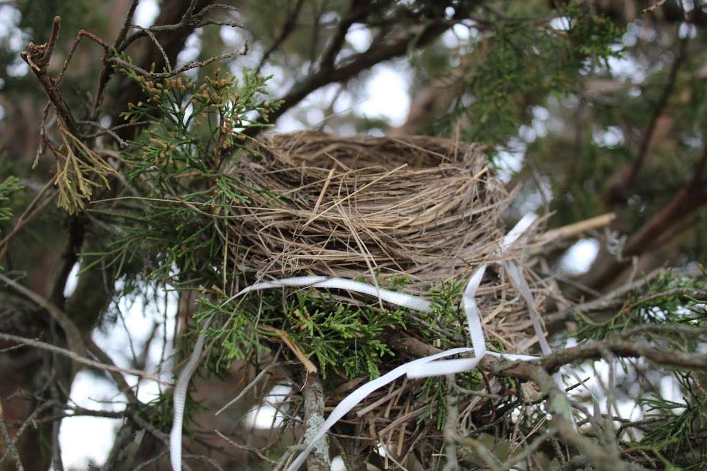 Salisbury Salt Marsh Wildlife Management | Beach Rd, Salisbury, MA 01952, USA | Phone: (978) 263-4347