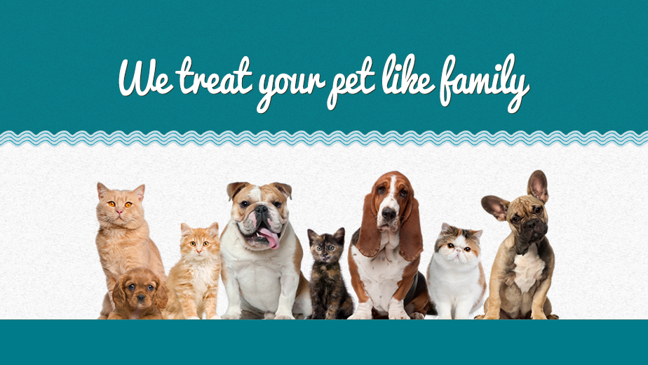 Fuerte Animal Hospital | 4620 Avocado Blvd, La Mesa, CA 91941, USA | Phone: (619) 440-1432