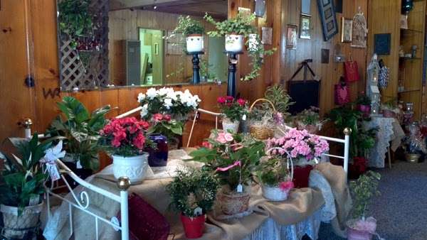 Cottage Garden Nursery & Florist | 3701 Mt Pinos Way, Frazier Park, CA 93225 | Phone: (661) 245-5459