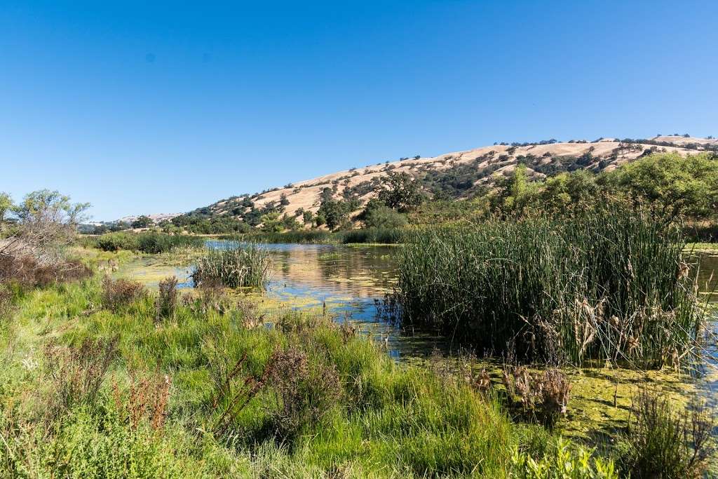 Joseph D. Grant County Park | 18405 Mt Hamilton Rd, Mt Hamilton, CA 95140, USA | Phone: (408) 274-6121